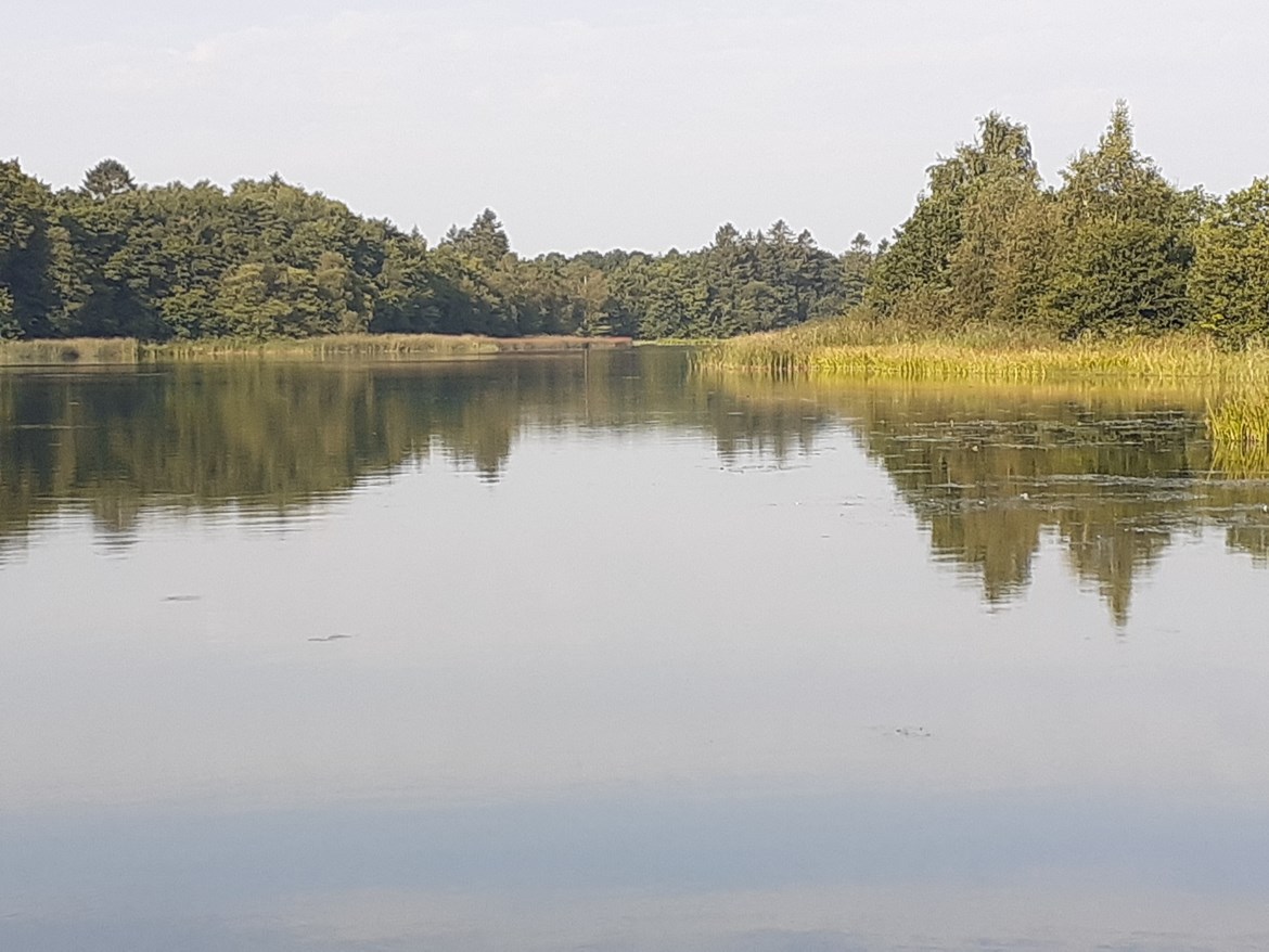 Sensommer på Nedersø
