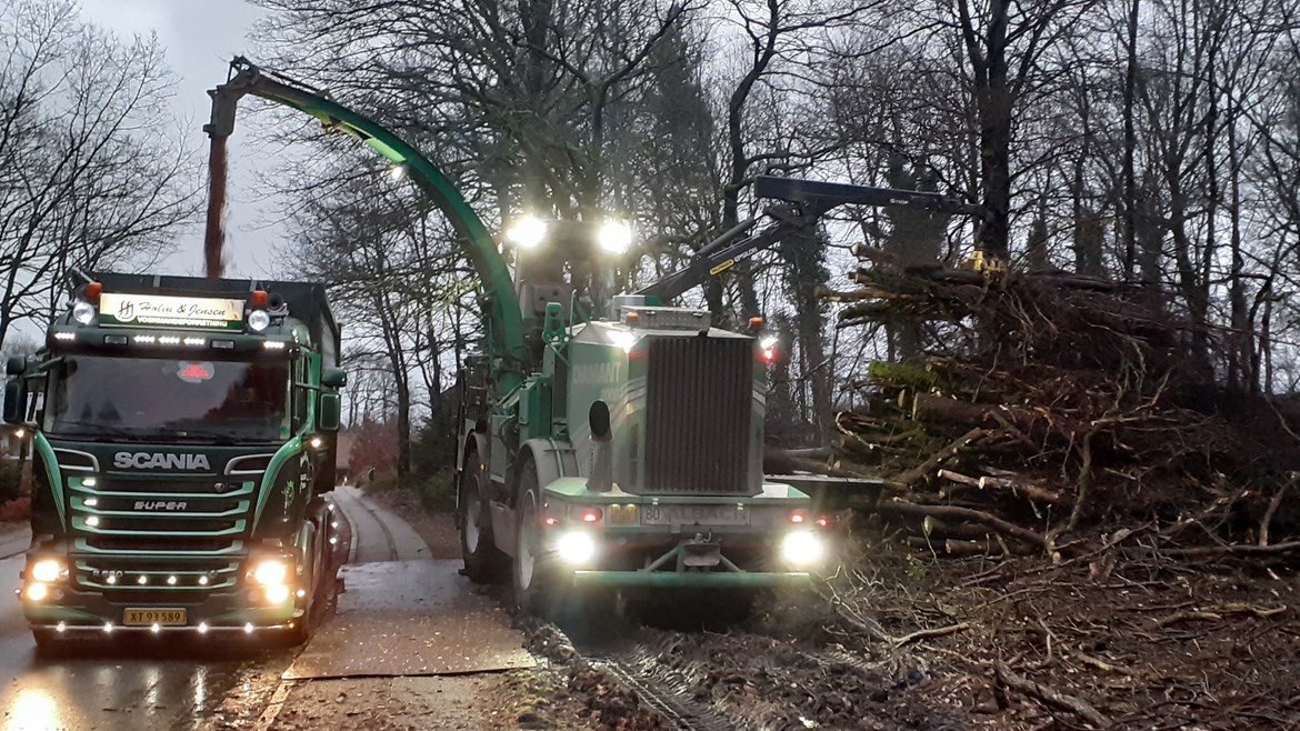 Træ fra udtynding i Skovlunden flises og køres til fjernvarme - billede fra januar 2022.